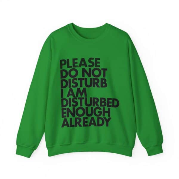 Please Do Not Disturb I Am Disturbed Enough Already sweatshirt.
