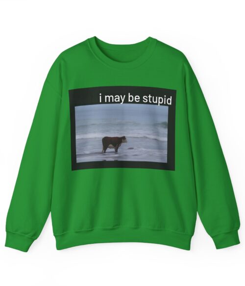 I may be stupid Sweatshirt #DG40