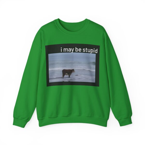 I may be stupid Sweatshirt #DG40 - Image 2