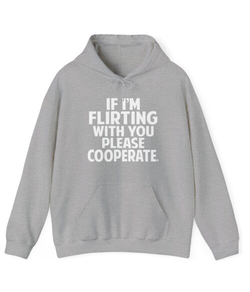 I’m flirting with you please cooperate Hoodie #U41