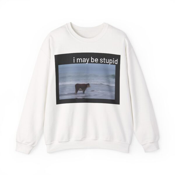 I may be stupid Sweatshirt #DG40 - Image 6