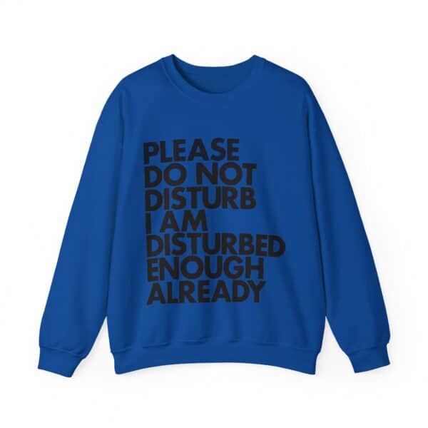 Please do not disturb sweatshirt with bold text affordable trendy casual clothing for men and women.