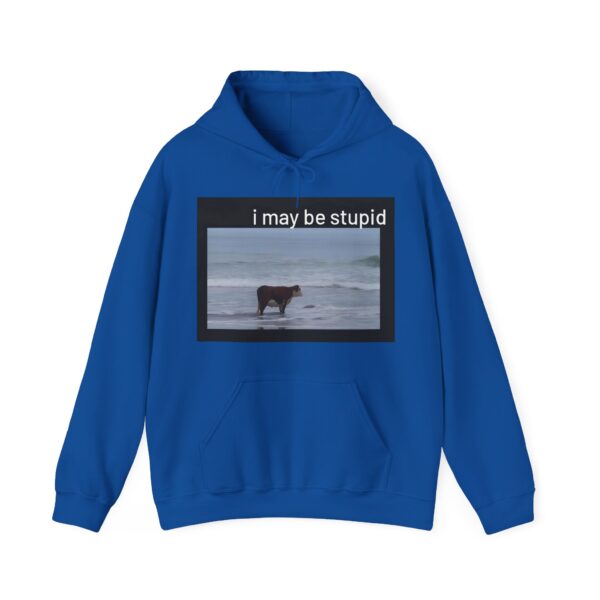 I may be stupid Hoodie #DG39 - Image 3