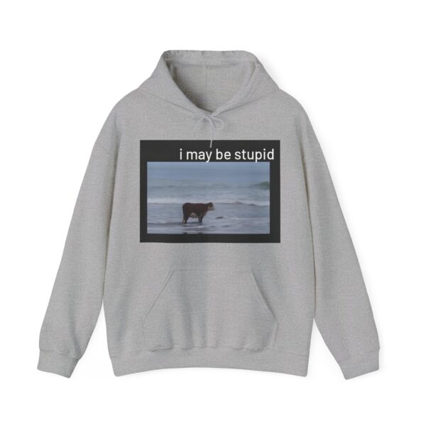 I may be stupid Hoodie #DG39 - Image 4