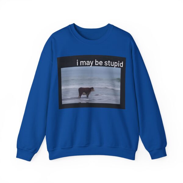 I may be stupid Sweatshirt #DG40 - Image 3