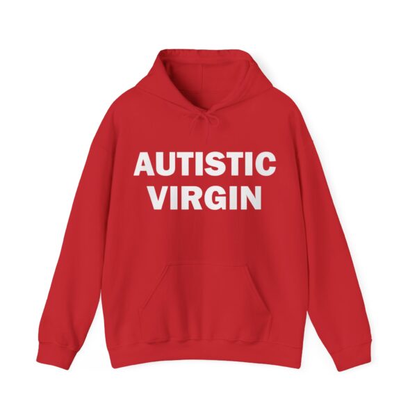 Autistic virgin Hoodie #DG43 - Image 5