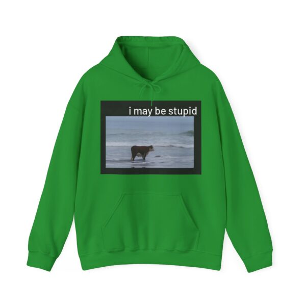 I may be stupid Hoodie #DG39 - Image 2