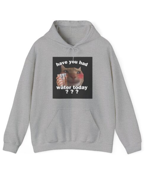 Have you had water today? Hoodie #U18