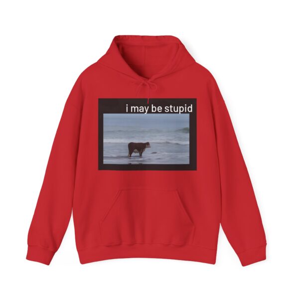 I may be stupid Hoodie #DG39 - Image 6