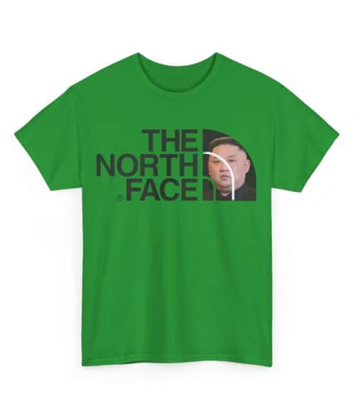 The north face T-Shirt #U89
