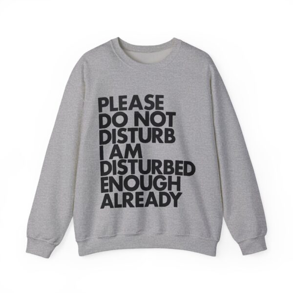 Comfortable grey sweatshirt with bold black text "Please Do Not Disturb I Am Distrubed Enough Already" perfect for casual, affordable streetwear.