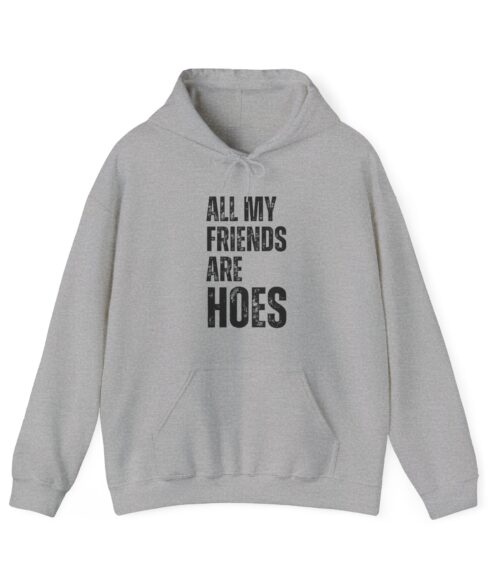 All my friends are hoes Hoodie #DGi31