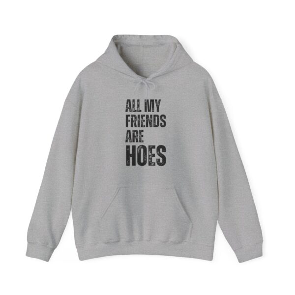 All my friends are hoes Hoodie #DGi31 - Image 2