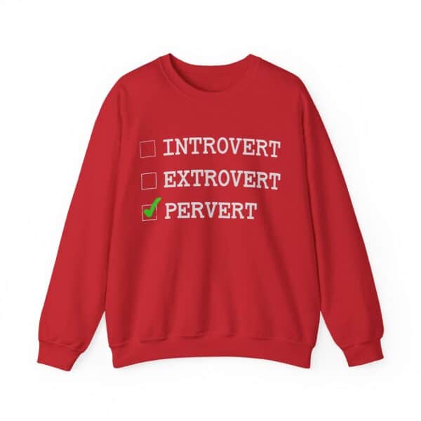 Comfy casual statement sweatshirt with humorous text, perfect for cool, affordable fashion.