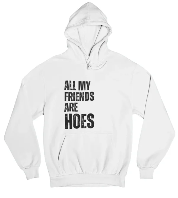 All my friends are hoes Hoodie #DGi31