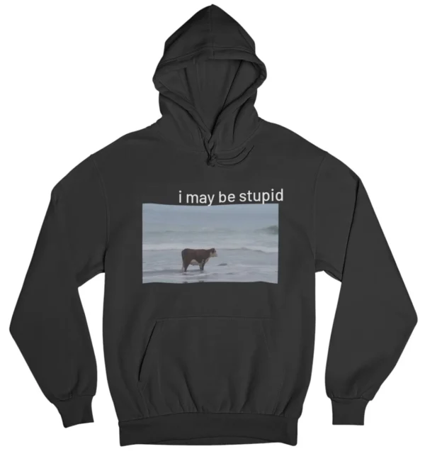I may be stupid Hoodie #DG39
