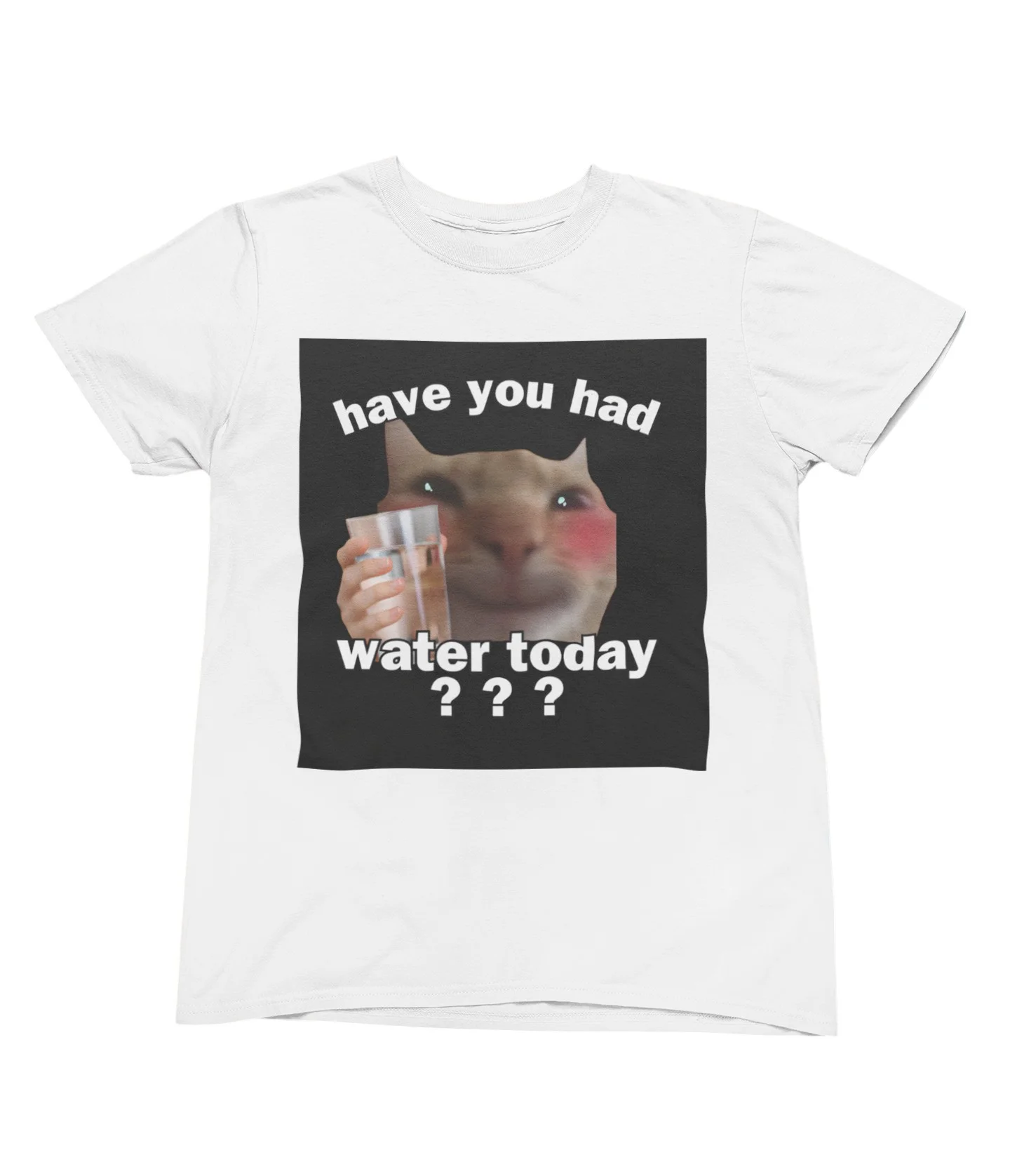 Have you had water today T-Shirt #U29