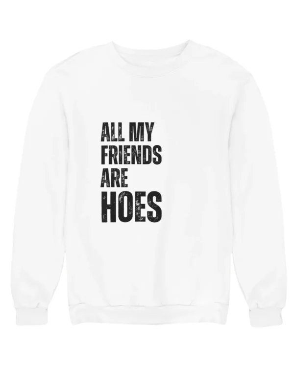 All my friends are hoes Sweatshirt #DGi31