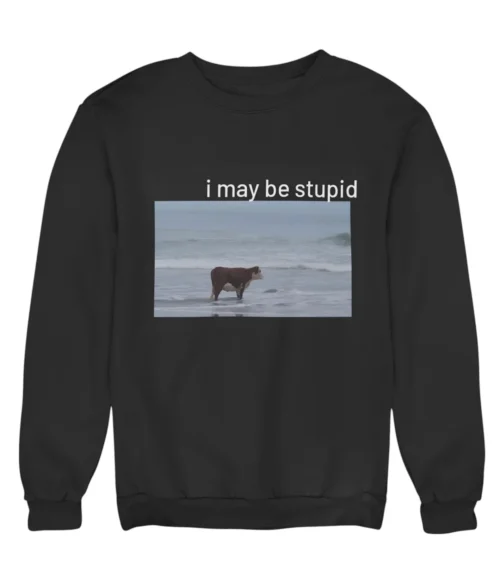 I may be stupid Sweatshirt #DG40