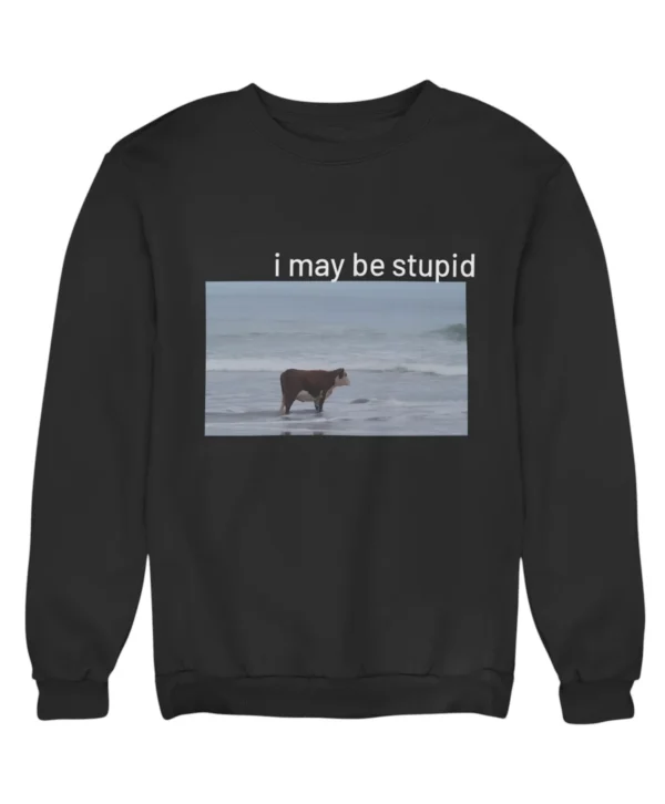 I may be stupid Sweatshirt #DG40