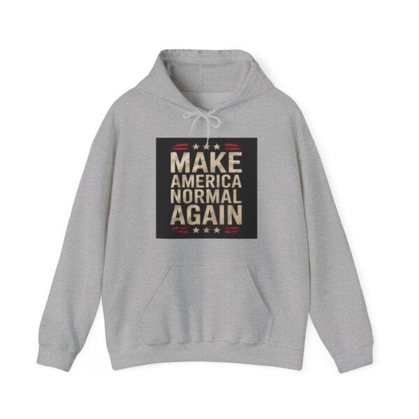 Make America normal again Hoodie #ALL7 - Image 3