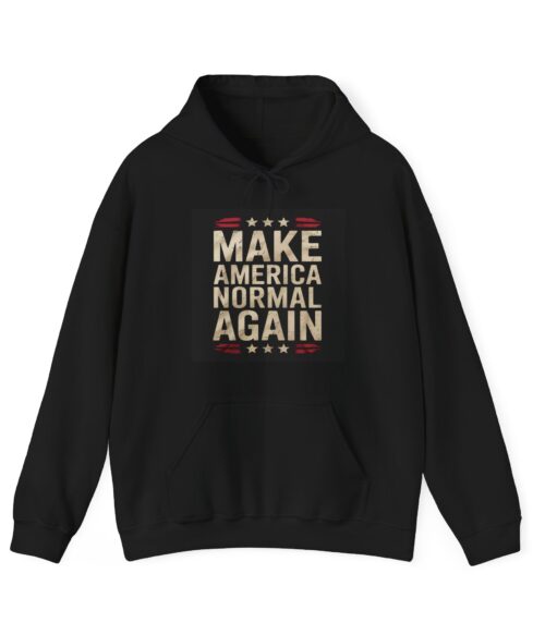 Make America normal again Hoodie #ALL7