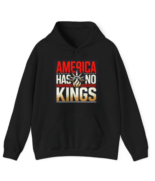 America has no kings Hoodie #ALL13