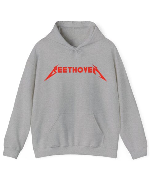 Meethoven Hoodie #BGi26