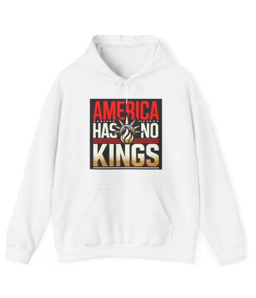 America has no kings Hoodie #ALL13